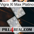 Vigra Xl Max Platinum 17